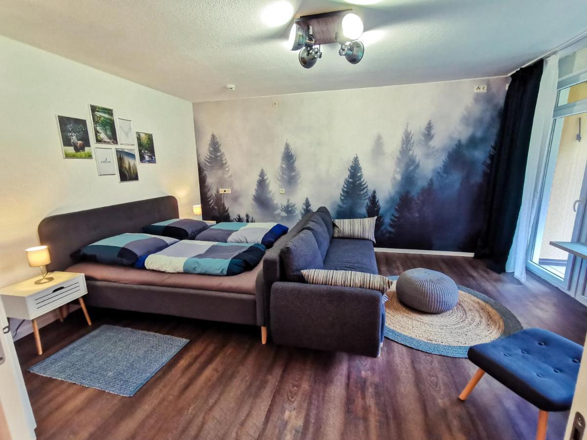 Apartmán Urlaub In Andreasberg Sankt Andreasberg Exteriér fotografie